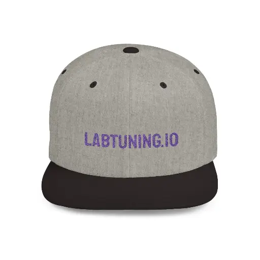 LabTuning.io Snap Back